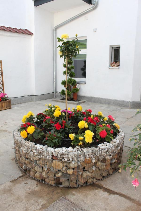 Pension Budissin Bautzen Exteriör bild